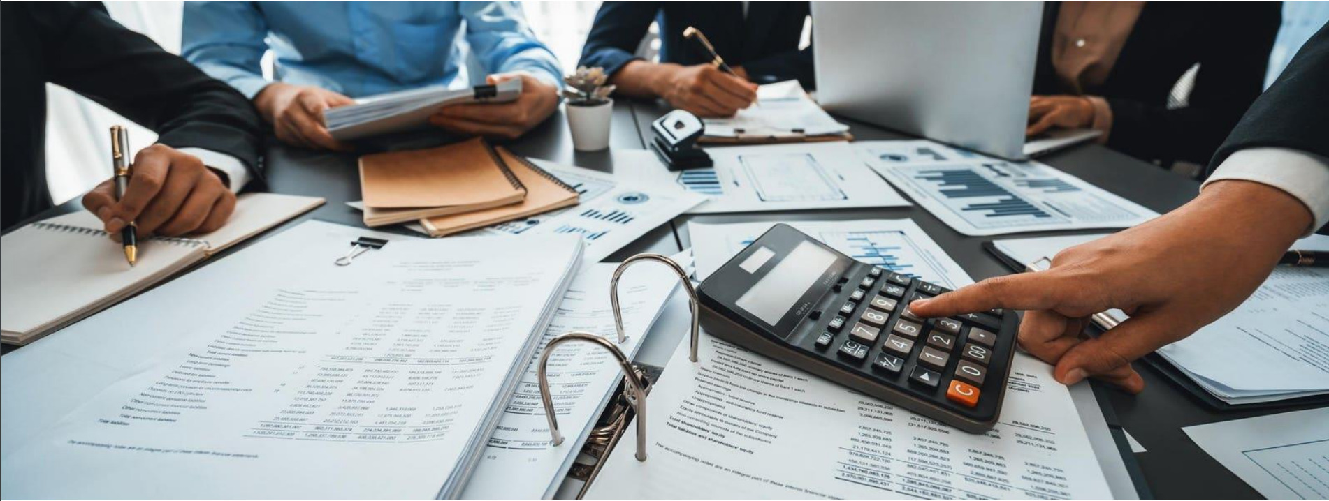 Professional Accounting Services