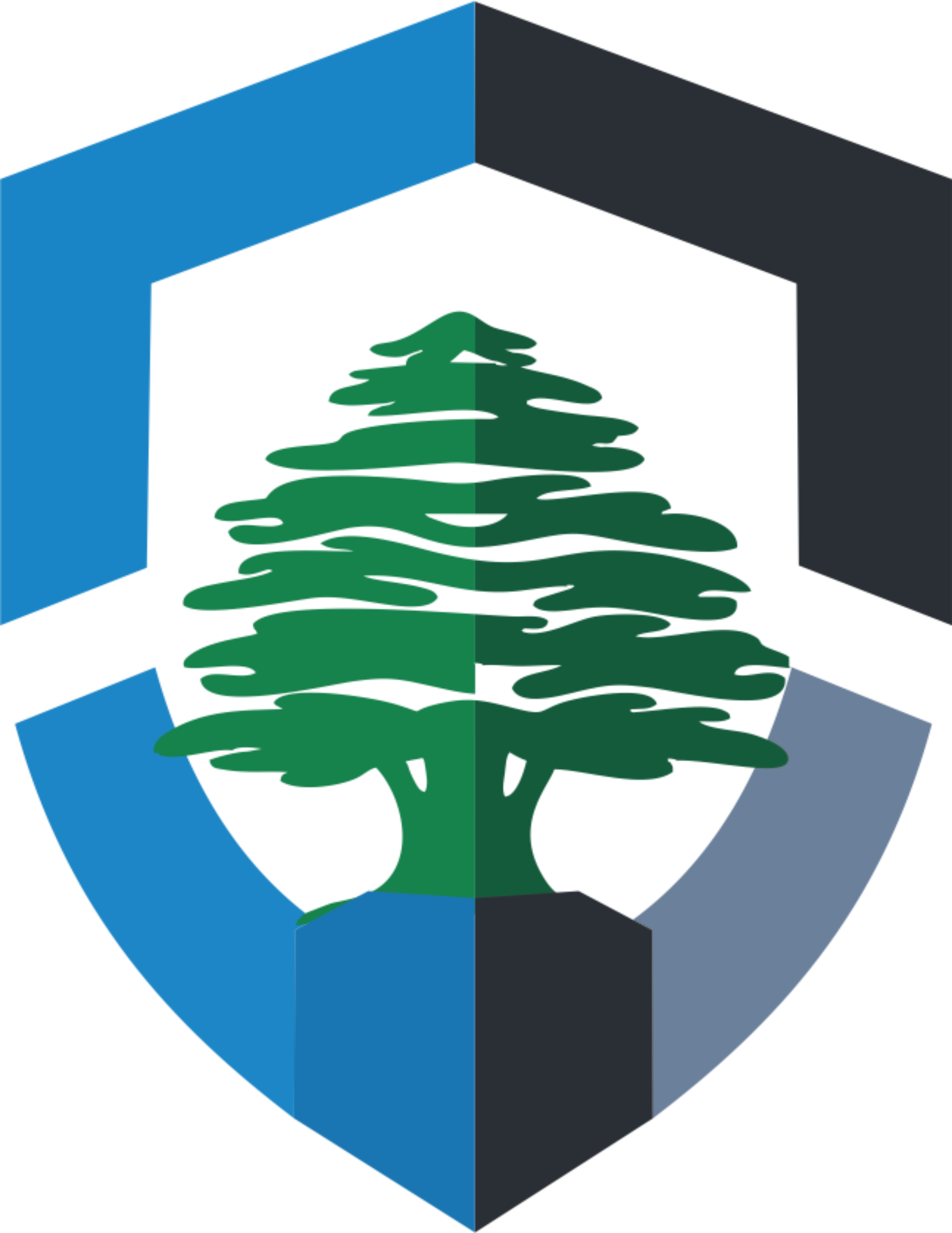 CEDRUS ACCOUNTING AND CONSULTING